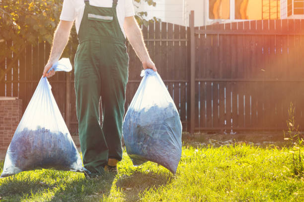 Best Household Junk Removal  in Lone Tree, IA