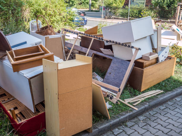 Best Professional Junk Removal  in Lone Tree, IA